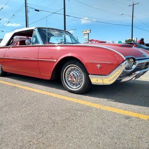 Meet the Posher, Tammy!